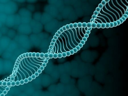 Ученые нашли ген отвечающий за гениальность человека