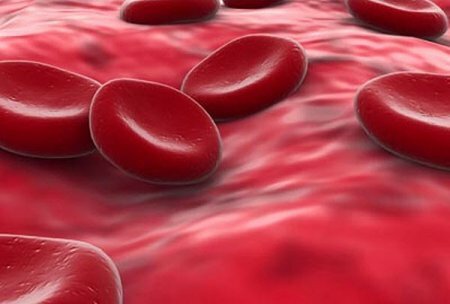 Ученые создали искусственную кровь из стволовых клеток
