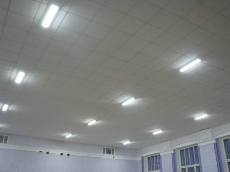 Экономия электроэнергии компенсирует повышение тарифов
