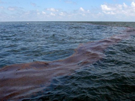 Количество ртути в Мировом океане выросло в три раза