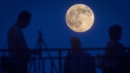 Роскосмос собирается начать создание лунных кранов и экскаваторов