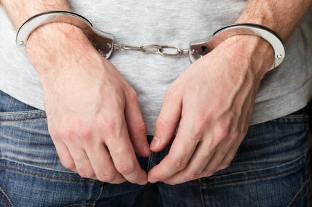 Таиланд выдал России мошенника, который присвоил себе 16 земельных участков