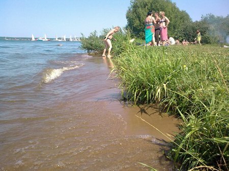 На благоустройство пляжа в Долгопрудном потратят около двухсот миллионов ру ...