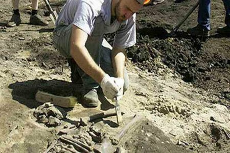 Китайские ученые обнаружили останки древнего морского животного