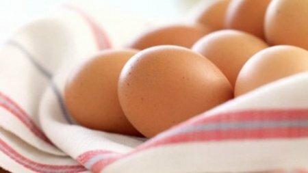 Ученые: Употребление яиц способствует похудению