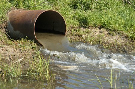 Золото находится прямо под ногами в сточных водах, доказали ученые